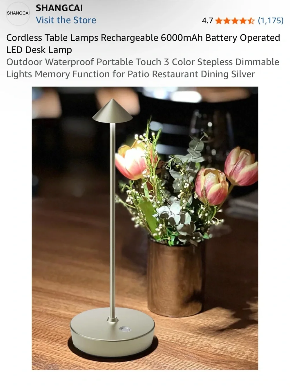 Rechargeable Cordless LED Table Lantern in Silver